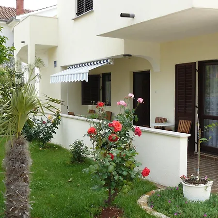 Erika Ap 4 Nr1 * Novigrad Istria